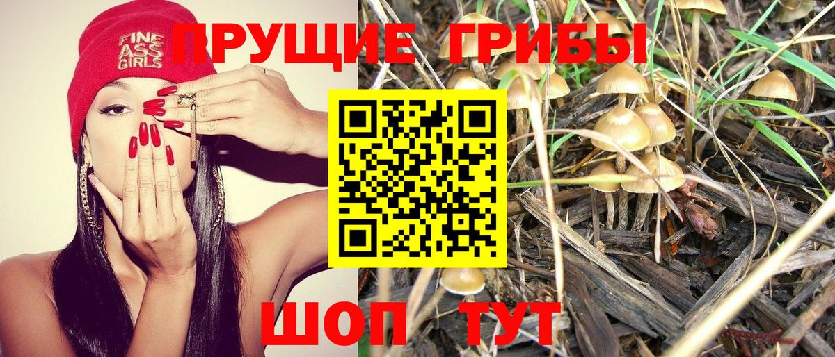 Галлюциногенные грибы Psilocybine cubensis  Галлюциногенные грибы ЛСД  Вход с VPN  Бугульма 