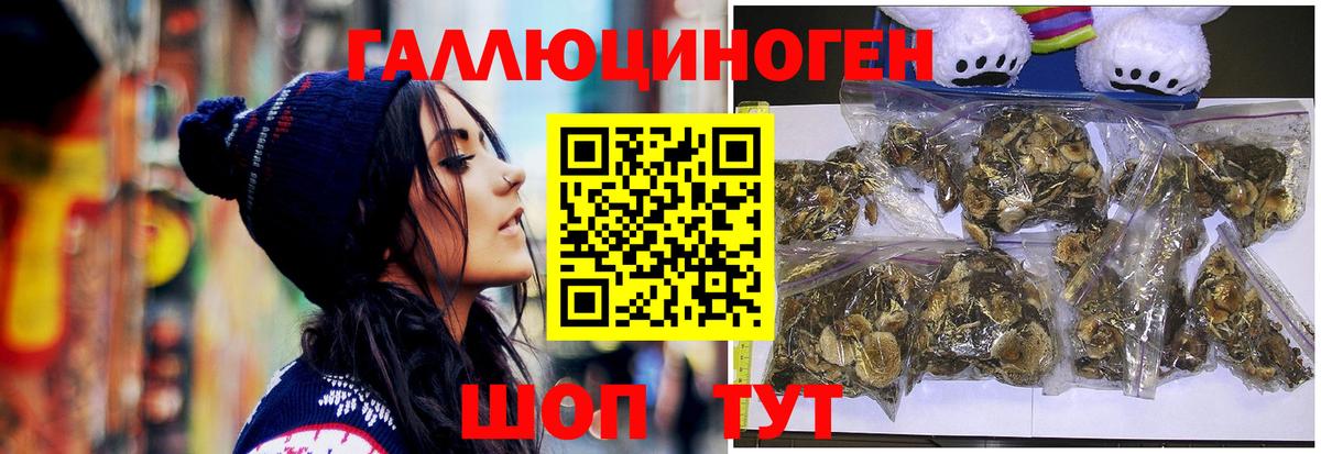 Галлюциногенные грибы мицелий Бугульма